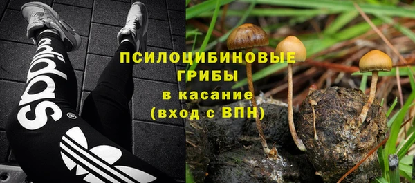 спиды Алексеевка