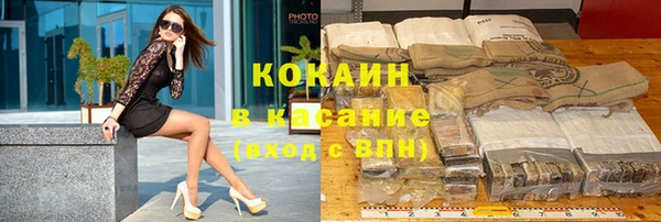 шишки Алзамай