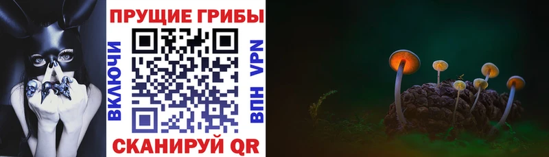 Галлюциногенные грибы ЛСД Дудинка